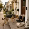 Ring Search Party finds lost dogs: helpful AI or neighborhood surveillance by another name?