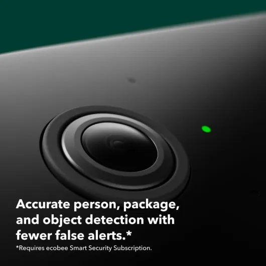 51s53nNxdQL._AC_SL1000_